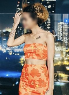 Sofia Independent GFE Meets - escort in Colombo Photo 30 of 30