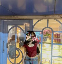 Sofia - escort in Berlin