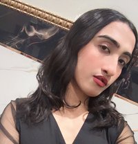 Sofia - Acompañantes transexual in New Delhi