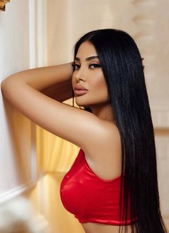 Sofia - escort in Al Manama Photo 3 of 17