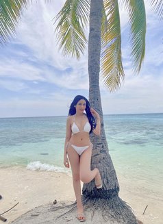 Sofia Kylie L.(StudentpinkishHornyPussy) - escort in Okinawa Island Photo 13 of 14