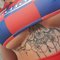 Sofia_la - escort in Phuket Photo 4 of 5
