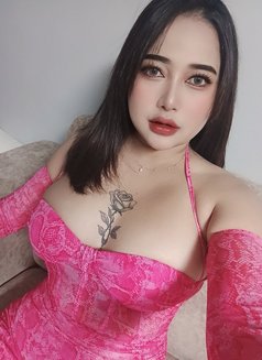 Sofia_la - escort in Phuket Photo 6 of 7
