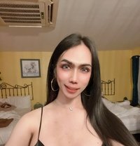 Ladyboy 🇹🇭 good top cock 7’ - Transsexual escort in Chiang Mai