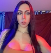 Ladyboy 🇹🇭 good top cock 7’ - Transsexual escort in Chiang Mai