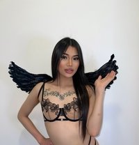 Sofia Ladyboy Thailand - Transsexual escort in Al Manama