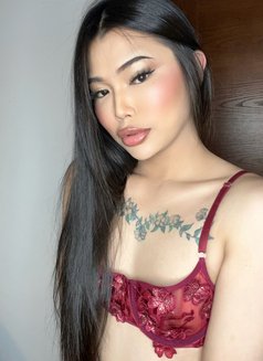 Sofia Ladyboy Thailand - Acompañantes transexual in Al Manama Photo 17 of 17