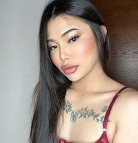 Sofia Ladyboy Thailand - Transsexual escort in Al Manama Photo 17 of 17