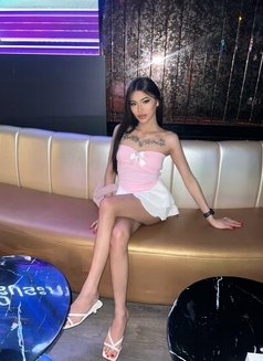 Sofia Ladyboy Thailand - Acompañantes transexual in Al Manama Photo 13 of 13
