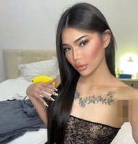 Sofia Ladyboy Thailand - Transsexual escort in Al Manama