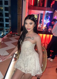 Sofia Ladyboy Thailand - Transsexual escort in Bangkok Photo 16 of 24