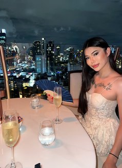 Sofia Ladyboy Thailand - Transsexual escort in Bangkok Photo 18 of 24