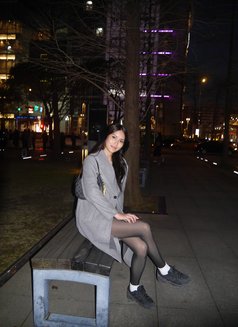 SOFIA limited days 🇵🇭🇮🇹 - escort in Cebu City Photo 24 of 24