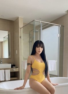 Sofia New in Jeddah - Transsexual escort in Jeddah Photo 14 of 15