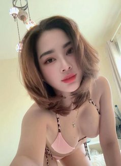 Sofia New Lady in Muscat - escort in Muscat Photo 1 of 4