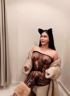 Sofia New Ladyboy 🇹🇭🇧🇷 - Acompañantes transexual in Khobar Photo 4 of 10