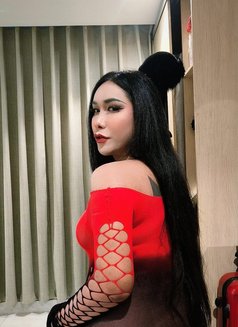 Sofia New Ladyboy 🇹🇭🇧🇷 - Acompañantes transexual in Khobar Photo 8 of 10