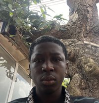 Sofia - Transsexual escort in Abuja