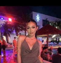 Sofia Perfect Ladyboy 🇹🇭 - Transsexual escort in Bangkok