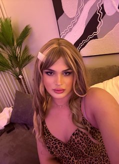 Sofia - Acompañantes transexual in Riyadh Photo 4 of 5