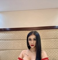 Sofia Sex Lady Thailand - escort in Dubai