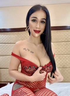 Sofia Sex Lady Thailand - escort in Dubai Photo 2 of 7