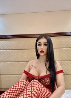 Sofia Sex Lady Thailand - escort in Dubai Photo 7 of 7