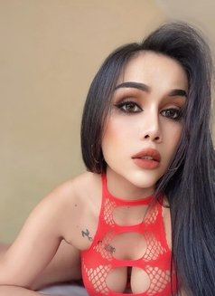 Sofia Sex Lady Thailand - escort in Dubai Photo 7 of 8