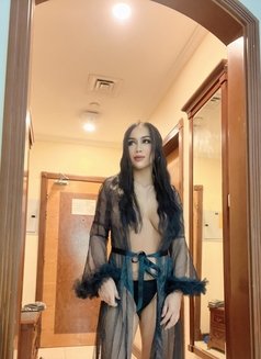 Sofia Sex Lady Thailand - puta in Dubai Photo 3 of 16