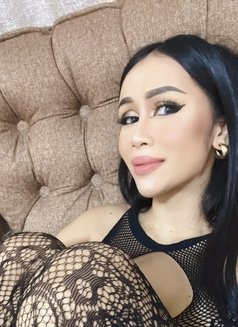 Sofia Sex Lady Thailand - escort in Dubai Photo 13 of 16