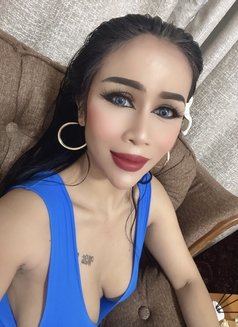 Sofia Sex Lady Thailand - escort in Dubai Photo 15 of 15