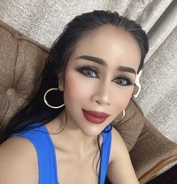 Sofia Sex Lady Thailand - escort in Dubai