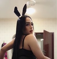 Sofia Shemale Vip Full Service - Transsexual escort in Muscat