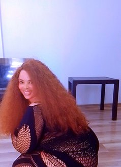 Aisha - escort in Al Manama Photo 3 of 4