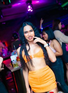 Sofia - Acompañantes transexual in Dubai Photo 1 of 10