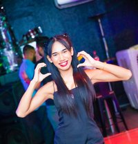 Sofia - Transsexual escort in Dubai