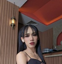 Sofia - Transsexual escort in Dubai