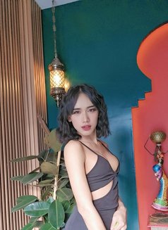 Sofia - Acompañantes transexual in Dubai Photo 6 of 9