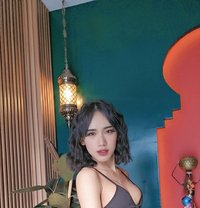 Sofia - Transsexual escort in Dubai