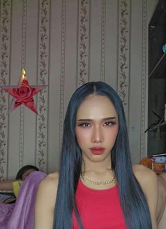 Sofia - Acompañantes transexual in Dubai Photo 11 of 13