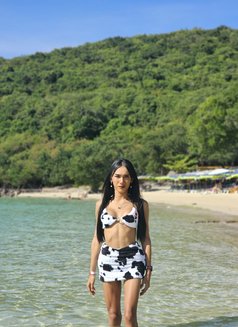 Sofia - Transsexual escort in Dubai Photo 13 of 14
