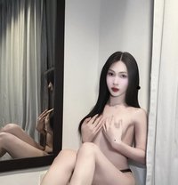 Sofia ladyboy both - Transsexual escort in Jeddah