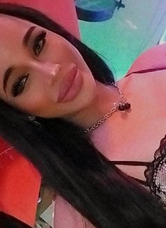 Sofia - Transsexual escort in Phuket Photo 11 of 12