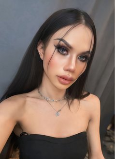 Sofia - Acompañantes transexual in Phuket Photo 2 of 2