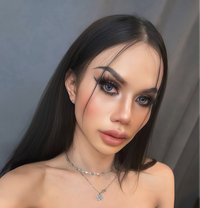 Sofia - Acompañantes transexual in Phuket