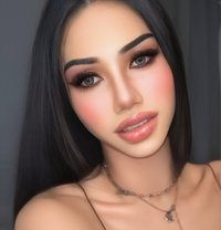 Sofia - Acompañantes transexual in Phuket