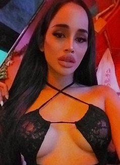 Sofia - Transsexual escort in Phuket Photo 7 of 8