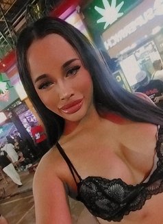 Sofia - Transsexual escort in Phuket Photo 8 of 11