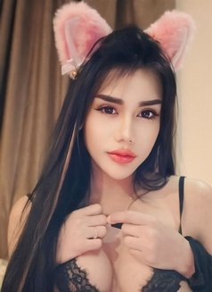 Sofia Thailand - Transsexual escort in Ipoh Photo 1 of 11