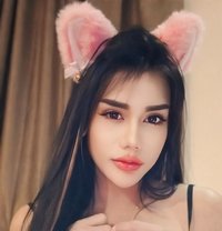 Sofia Thailand - Transsexual escort in Ipoh